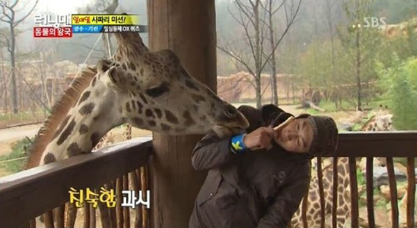 leekwangsoo-giraffe